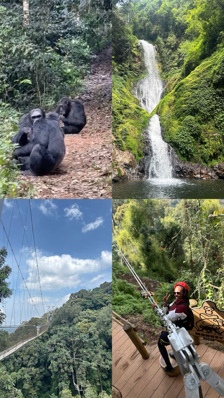 2-Day Nyungwe National Park Experience